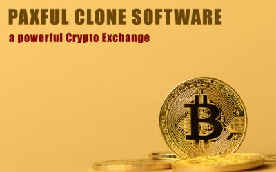 What is paxful clone software?